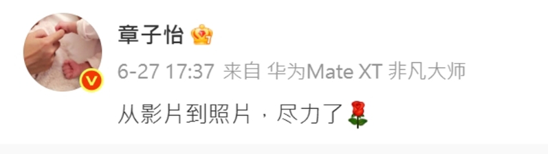 章子怡PO文，无奈表示：“从影片到照片，尽力了”。（图／ 翻摄自章子怡 微博）